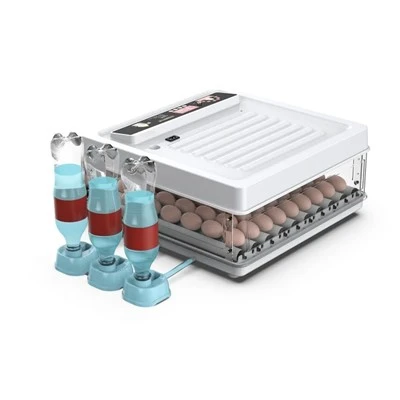 Mini 130 Chicken Egg Incubator Mini 130 Chicken Egg Incubator